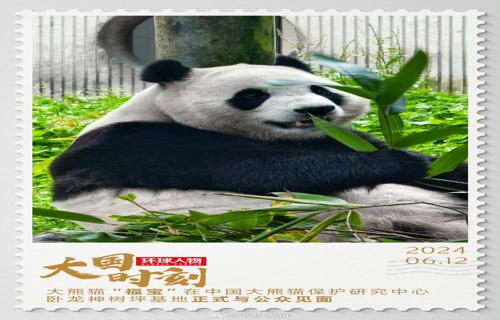 宋茜黑粉登报致歉愿担责