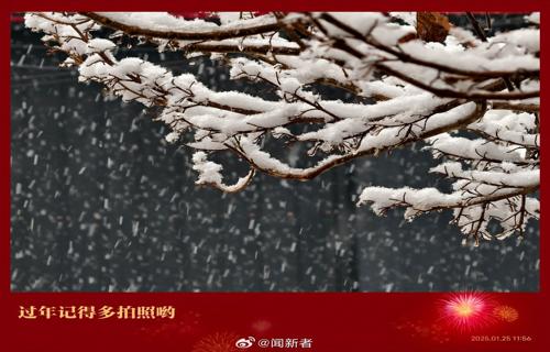 西藏地震救援465万群众安全转移县委书记因打麻将被公诉